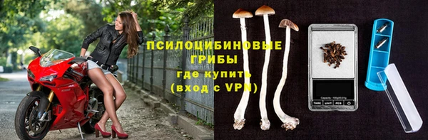 гашик Балабаново